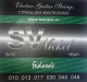 Струны для электрогитар МК Федосов SV3 S.V. Regular Heavy никелированные, ..010