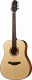 Акустическая гитара CRAFTER HD-100