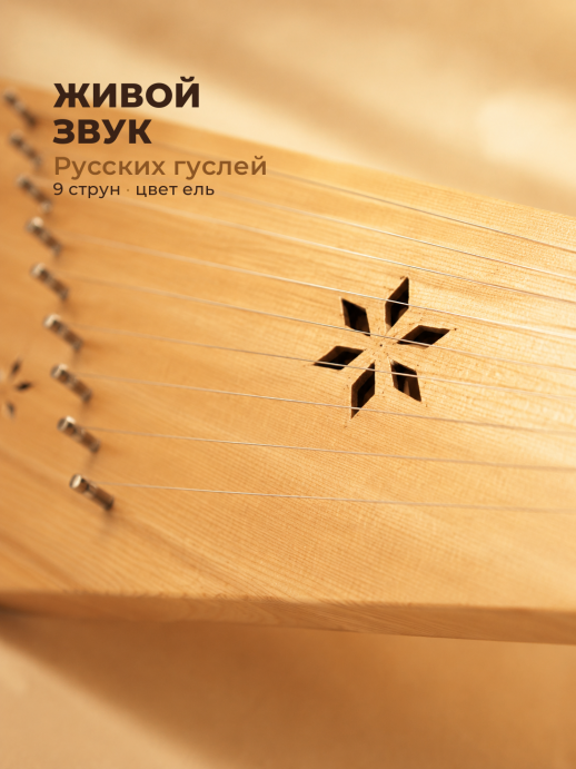 Гусли 9-струнные GWS-93