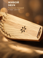 Гусли 9-струнные GWS-91